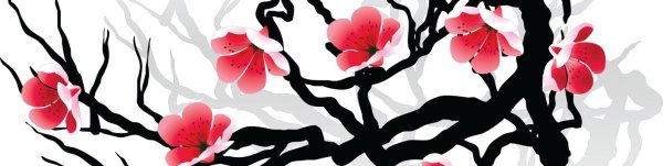 Сакура рисунок