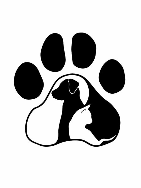 Оранжевые лапки