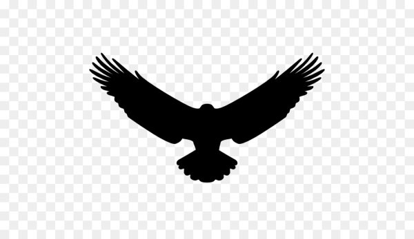 Орел символ