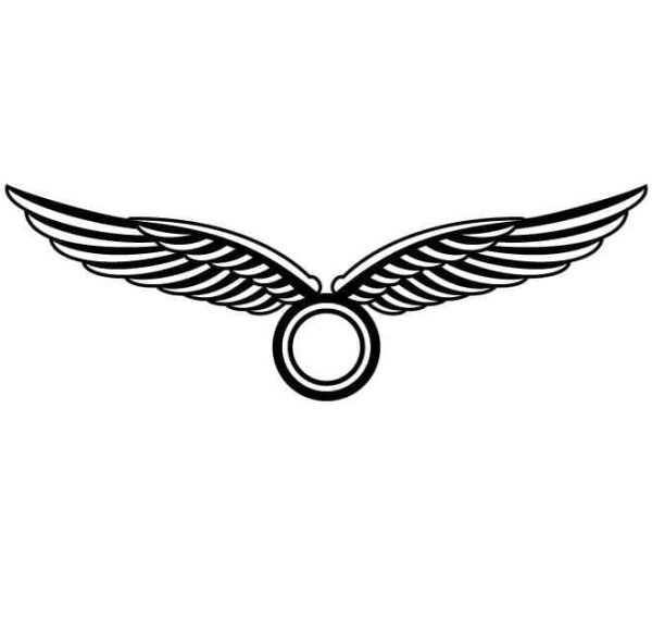 Модель машины с крыльями