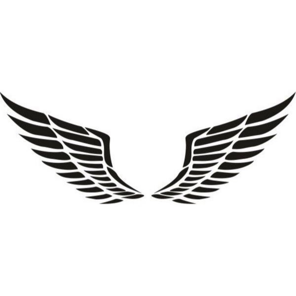 Пустой логотип с крыльями