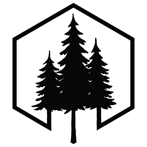 Силуэты хвойных деревьев