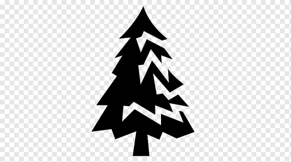 Белая ель на черном фоне