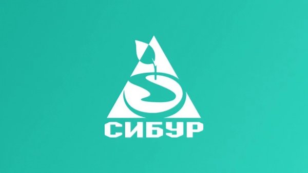 Сибур Нефтехим логотип