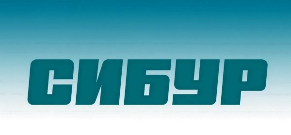 Сибур Нефтехим логотип