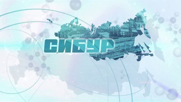 Сибур брендбук