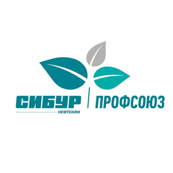 Сибур презентация