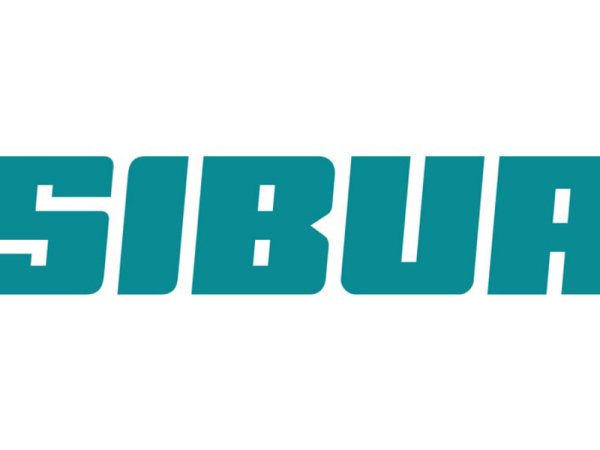 Сибур иконка