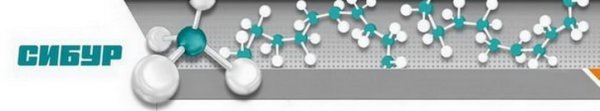 ОАО Сибур Холдинг логотип