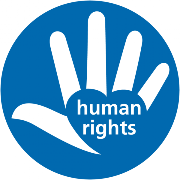 Совет безопасности ООН символ