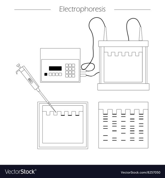 Электрофорез иконка