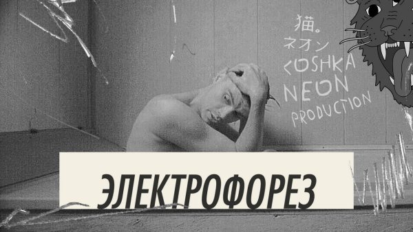 Электрофорез группа 505