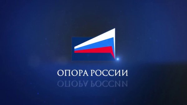 Общественная организация опора России