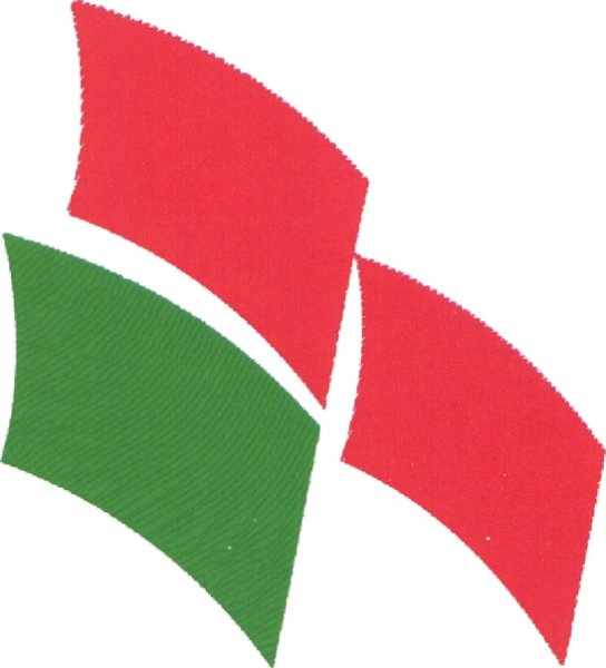 Республиканское Общественное объединение «белая Русь»