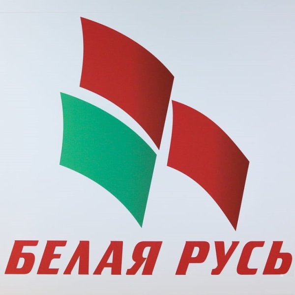 Флаг организации белая Русь