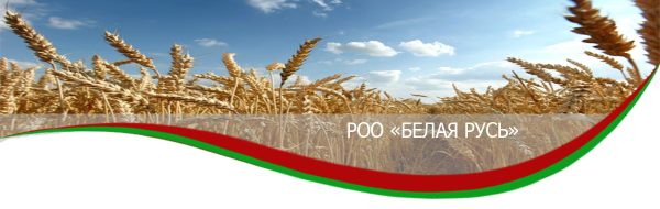 Символика белой Руси