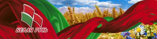 Флаг организации белая Русь