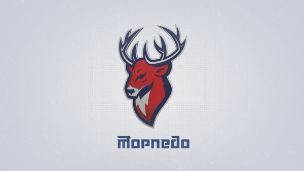 Логотип хк Торпедо Нижний Новгород