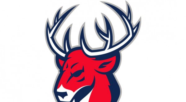 Эмблема Торпедо Нижний Новгород хоккейный клуб