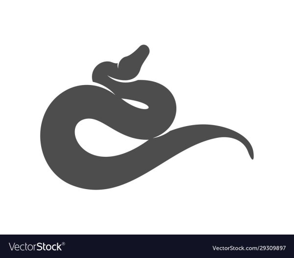 Пайтон вектор