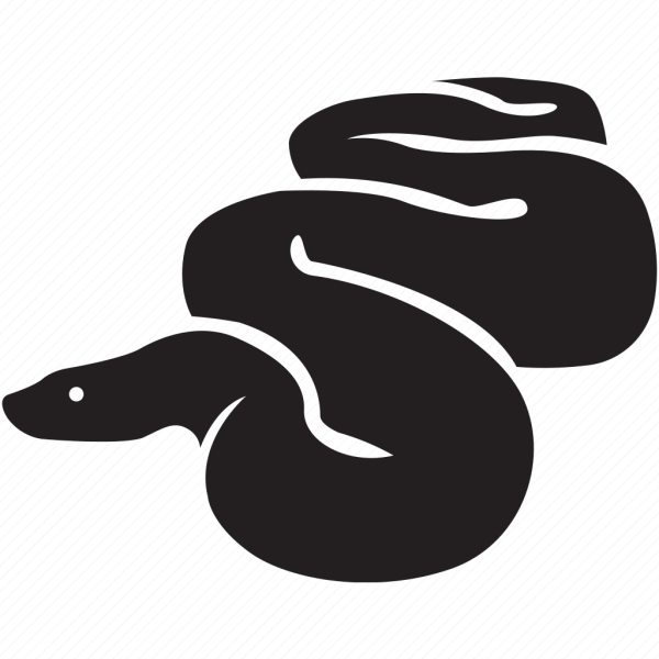 Питон программирование без фона