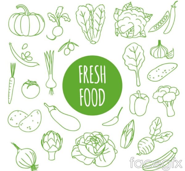 Зелень еда вектор
