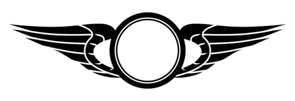 Марка машины с крыльями на эмблеме спортивного