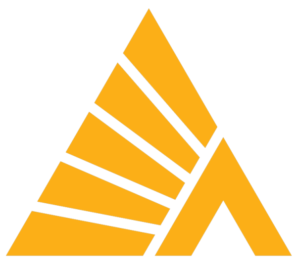 Логотип Деловые линии транспортная компания