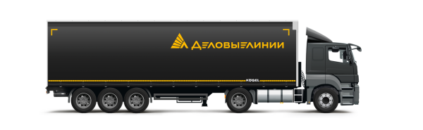 Транспортная компания Деловые линии лого