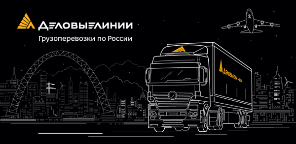 Логотип Деловые линии на прозрачном фоне