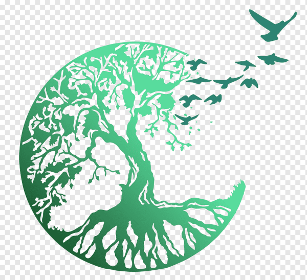 Дерево в круге