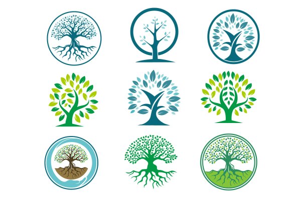 Логотип дерево в круге