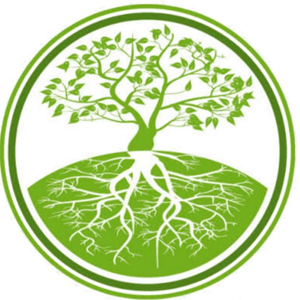 Дерево символ