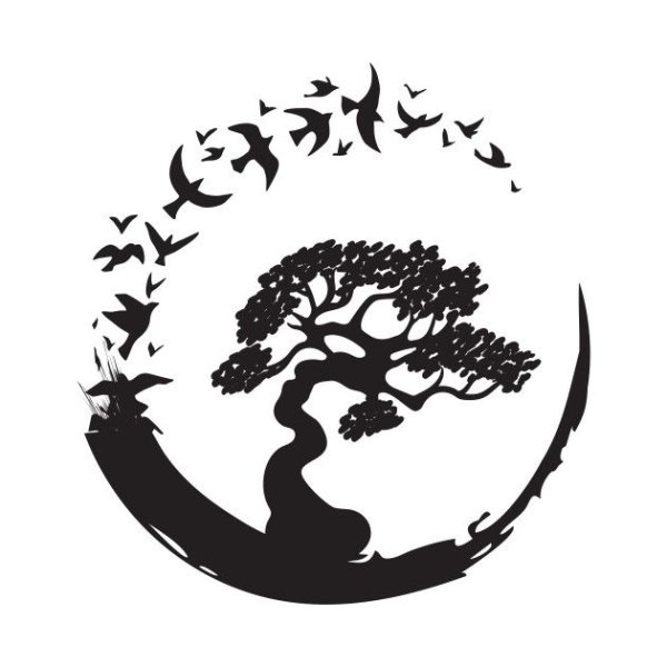 Тату дерево в круге эскизы