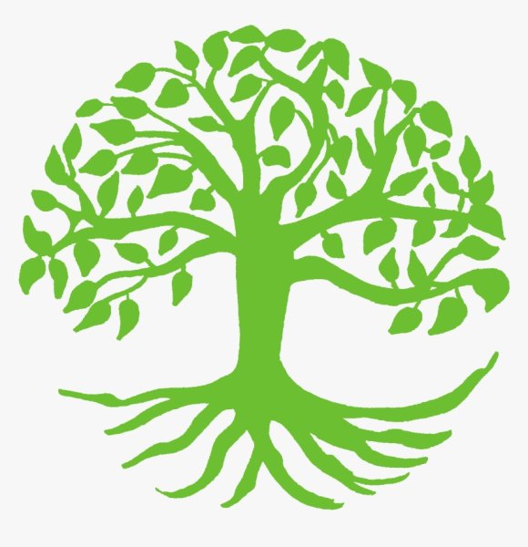 Дерево символ