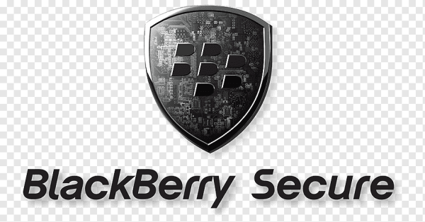 Красивый логотип ежевика