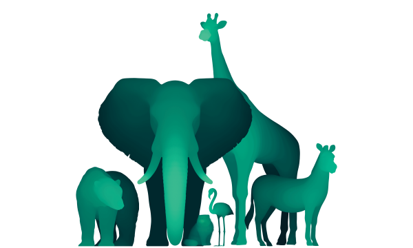 Манул символ Московского зоопарка