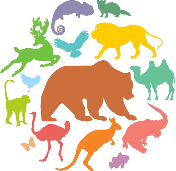 Детский контактный зоопарк Kidzoo логотип