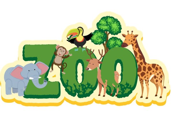 Манул зоопарк Москвы символ