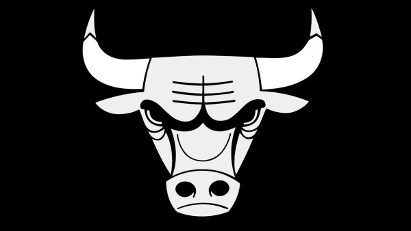 Чикаго Буллз вектор