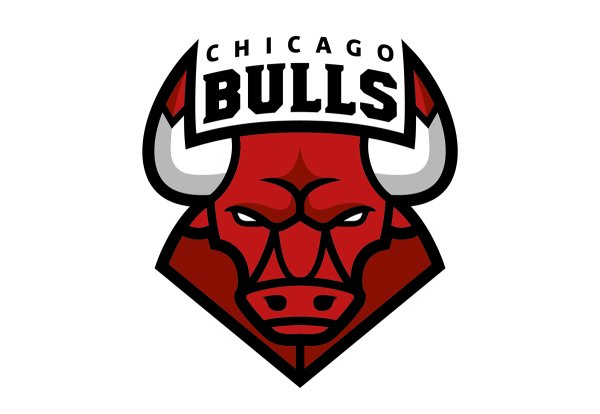 Chicago bulls вектор