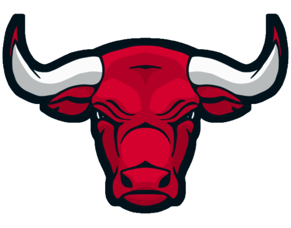 Чикаго Буллз эмблема
