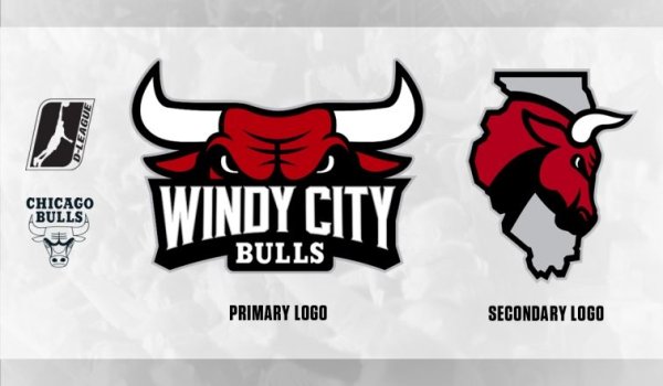 Windy City bulls