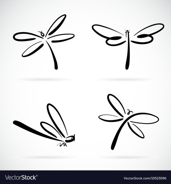 Тату Стрекоза одной линией