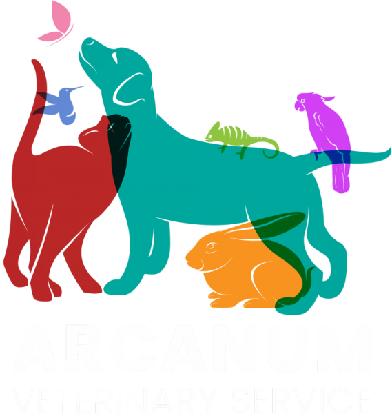 Векторные кошки и собаки