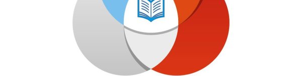 Брендбук РДШ