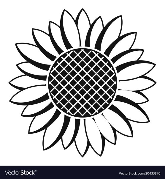 Подсолнух логотип