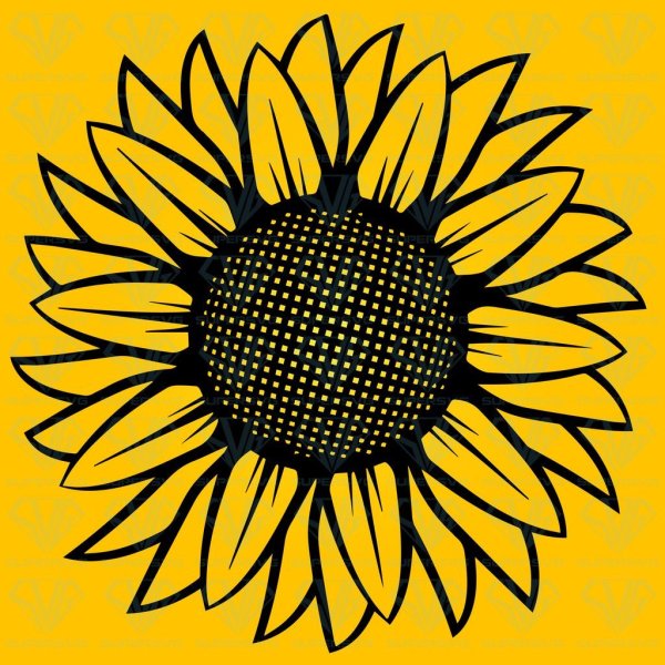 Векторный подсолнух