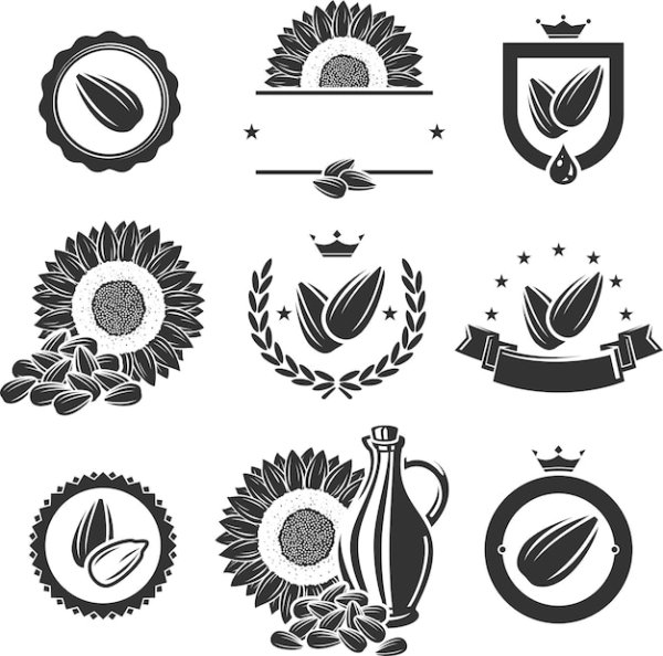 Пиктограмма семя подсолнечника