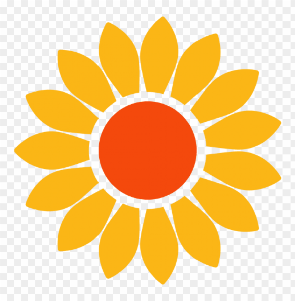 Подсолнух vector